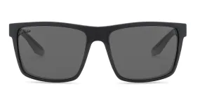 COVE SUNGLASSES