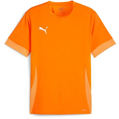 Puma GOAL Trainingsshirt